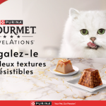 Un produit Gourmet Revelations 100% remboursé