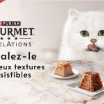 Gourmet Revelations 100% remboursé